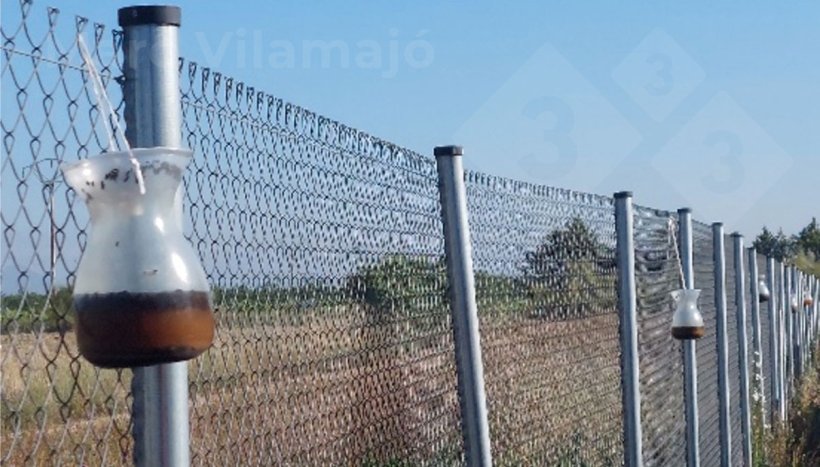 Photo 2: Multi-catch traps for adult flies located on the perimeter fence.